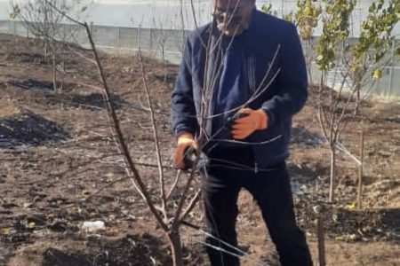 بحران محیط زیست و کشاورزی در ایران