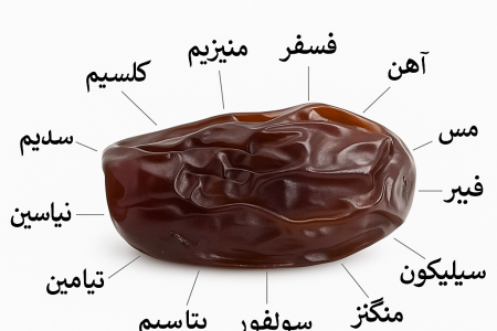 انرژی جاودان و خواص بی پایان خرما