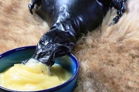 صادرات روغن حیوانی و پسته کرمانشاه به خارج از کشور